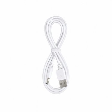5-in-1 Face Pilates Wand Charger